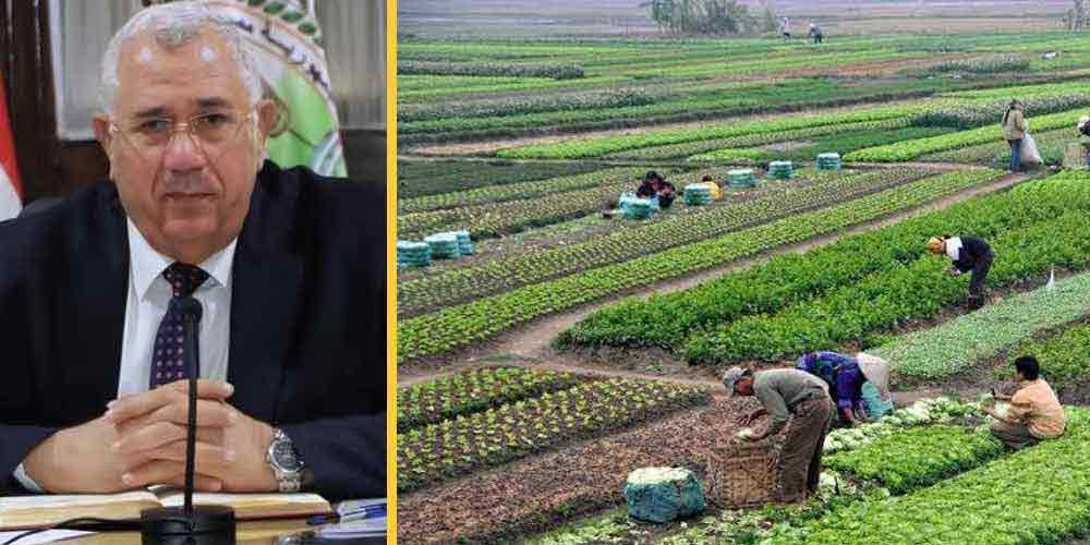 Egypt agricultural exports hit 6.5 million tons for the 1st time ever