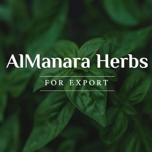 Al Manara Herbs For Export