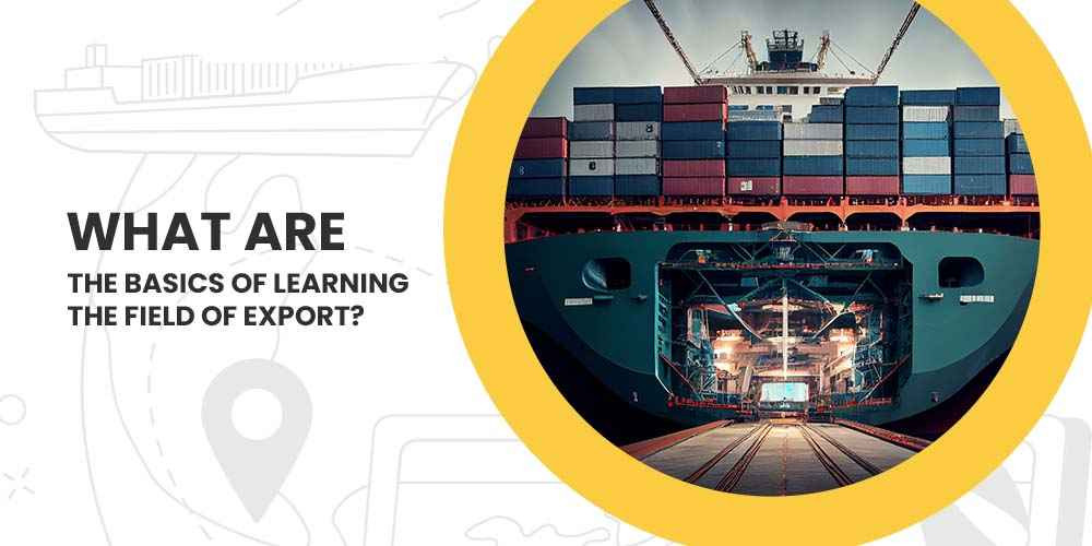 The basics of learning the field of export